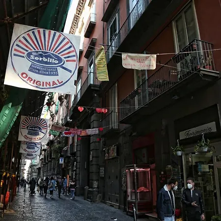 Maison Nilo 15-2